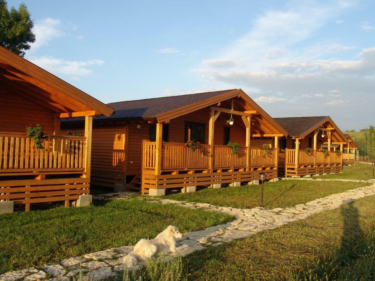 Villa Complex Agroturistic Livada de Nuci Baia de Fier Exterior foto