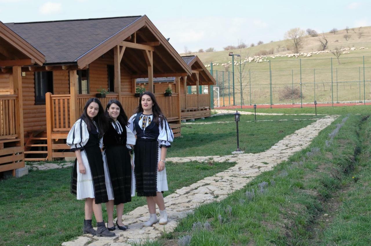 Villa Complex Agroturistic Livada de Nuci Baia de Fier Exterior foto